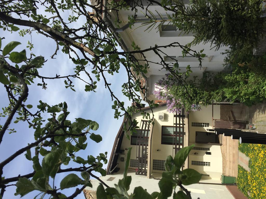 Casa Transilvania Brasov Bagian luar foto
